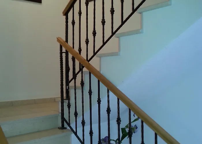 Ruzica Τρογκίρ