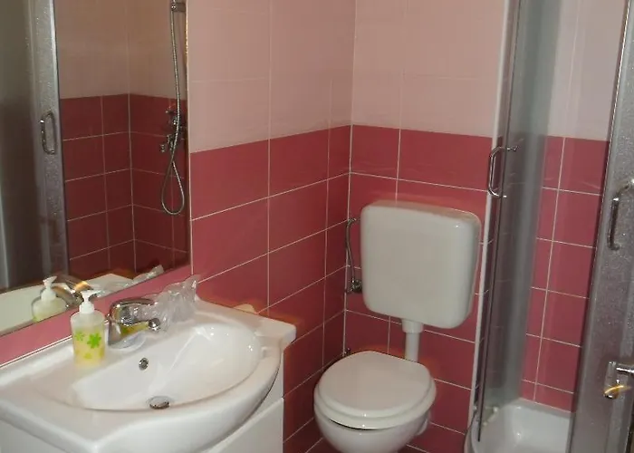 Ruzica Τρογκίρ